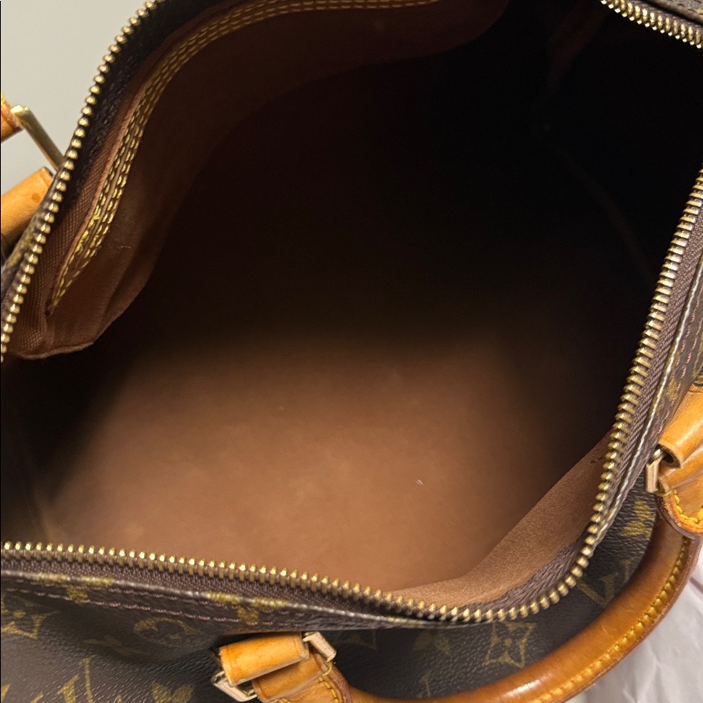 Louis Vuitton Classic Brown Satchel - Picture 7 of 8